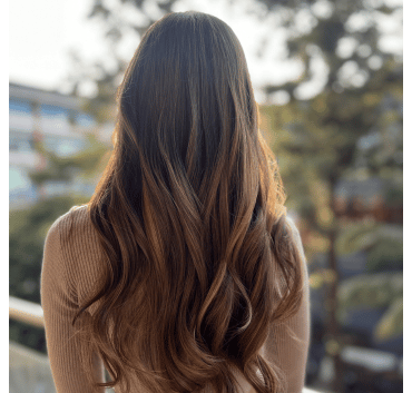 900s majirel highlights